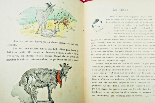 Animaux Domestiques, Librairie D'éducation Nationale 1908 Giraldon – Image 4