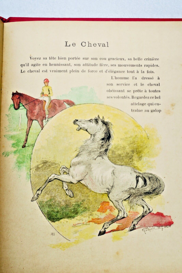 Animaux Domestiques, Librairie D'éducation Nationale 1908 Giraldon – Image 6