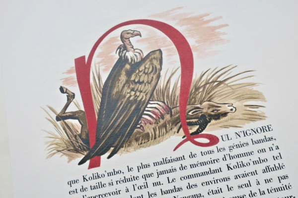 Bêtes de la brousse. Illustrations d’André Collot gravées sur bois + aquarelle – Image 6