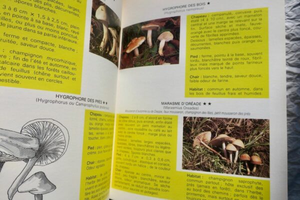 champignon  RECONNAITRE - CULTIVER - CUISINER - LES CHAMPIGNONS – Image 6