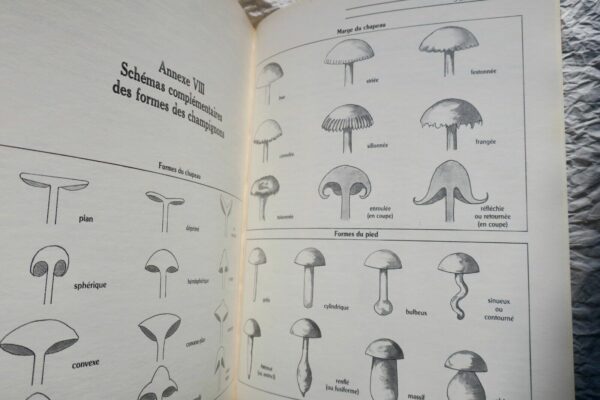 champignon  RECONNAITRE - CULTIVER - CUISINER - LES CHAMPIGNONS – Image 10