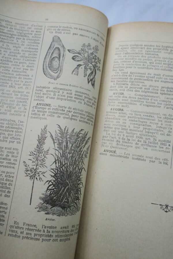 épicerie Dictionnaire encyclopédique de l'épicerie et des Industries...1924 – Image 3