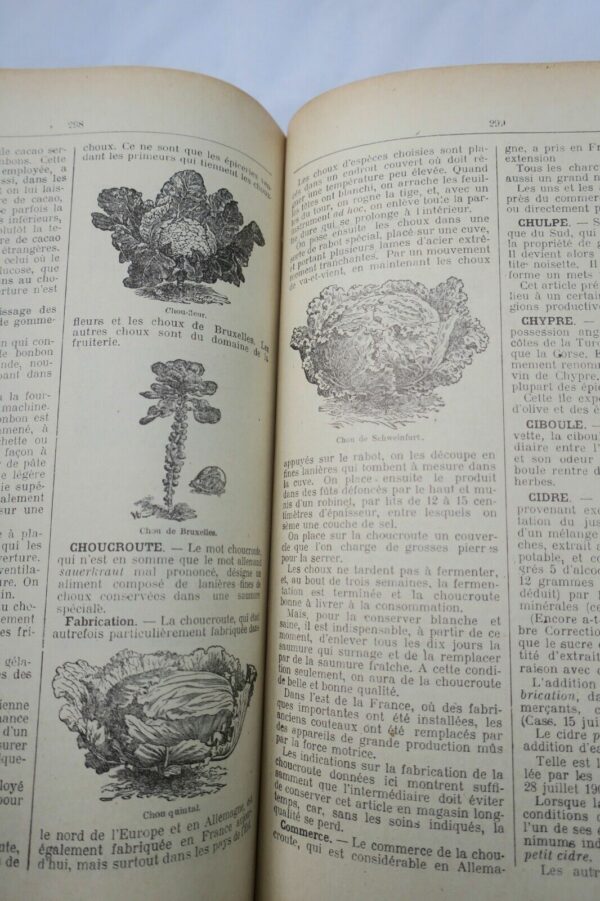 épicerie Dictionnaire encyclopédique de l'épicerie et des Industries...1924 – Image 8