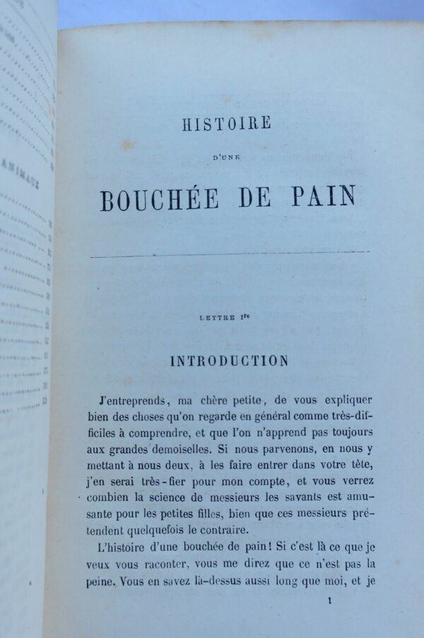 Histoire d'une bouchée de pain. Lettres à une petite fille...Hetzel – Image 6