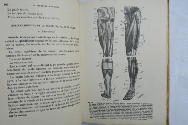 LA MACHINE HUMAINE ANATOMIE MECANIQUE PHYSIOLOGIE