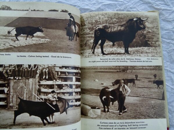 Taureau  INITIATION A L'ART TAURIN. (TOROS ET TOREROS). – Image 11