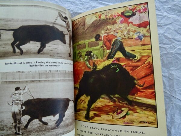 Taureau  INITIATION A L'ART TAURIN. (TOROS ET TOREROS). – Image 9