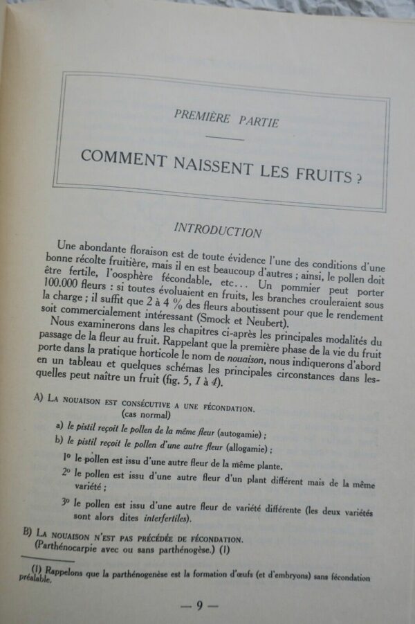 Vie des fruits, origine, développement, structure, physiologique... – Image 8