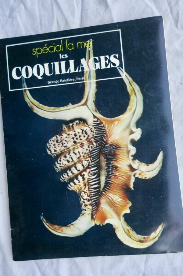 coquillages ANGELETTI Les coquillages