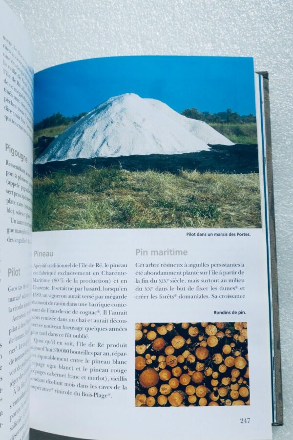 île de Ré Dictionnaire de l'île de Ré - Sites, nature, patrimoine, histoire 2008 – Image 15