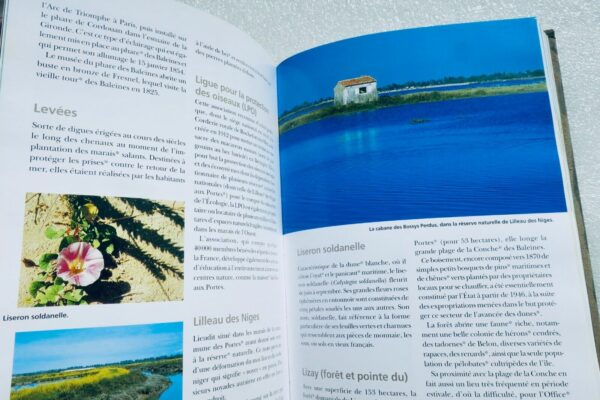 île de Ré Dictionnaire de l'île de Ré - Sites, nature, patrimoine, histoire 2008 – Image 3