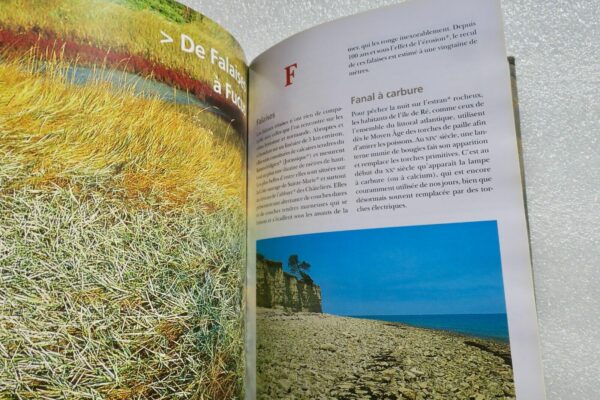 île de Ré Dictionnaire de l'île de Ré - Sites, nature, patrimoine, histoire 2008 – Image 5