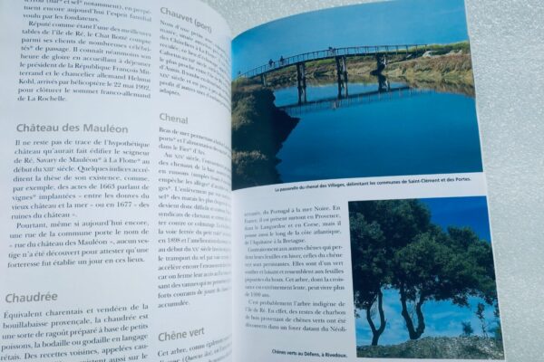 île de Ré Dictionnaire de l'île de Ré - Sites, nature, patrimoine, histoire 2008 – Image 8