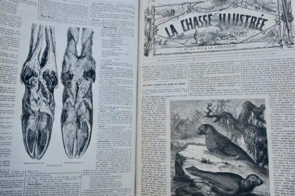 Chasse illustrée - Journal des plaisirs de la ferme et du château 1869-1870 – Image 10