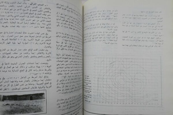 Irak Research on the antiquities of Saddam Dam basin salvage & other researches – Image 5