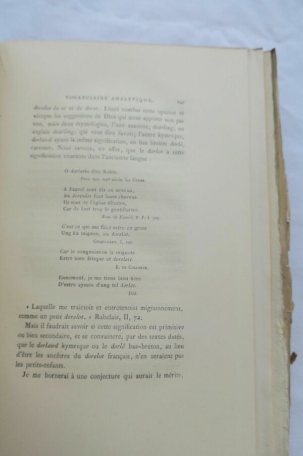 VILLON Le Jargon et Jobelin.. dictionnaire analytique du jargon 1889 – Image 3