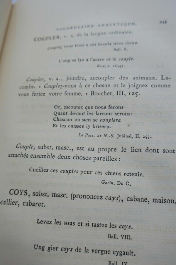 VILLON Le Jargon et Jobelin.. dictionnaire analytique du jargon 1889 – Image 9