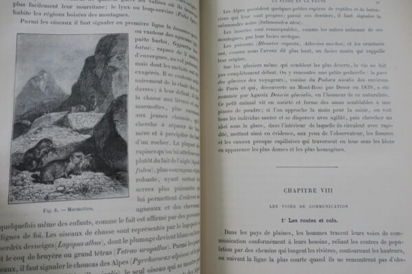 Alpes et les grandes ascensions 1889 – Image 11