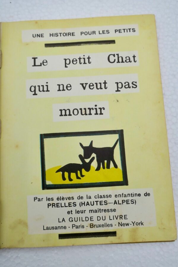 Chat le petit chat qui ne veut pas mourir – Image 5