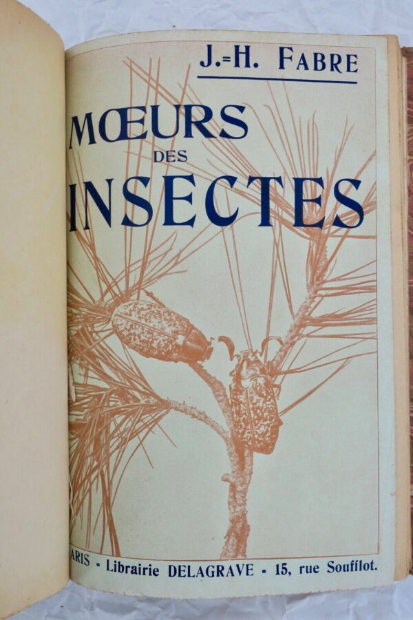 FABRE MOEURS DES INSECTES - MORCEAUX CHOISIS 1924 – Image 7