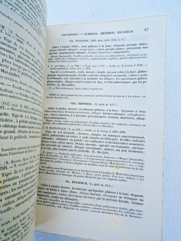 Flore descriptive et analytique des environs de Paris 1845 – Image 5