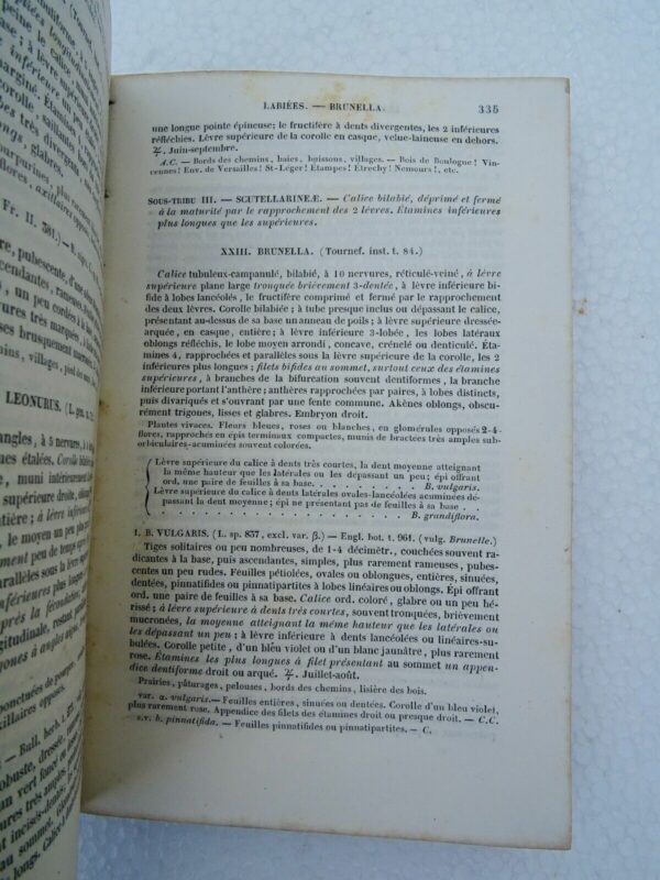 Flore descriptive et analytique des environs de Paris 1845 – Image 8