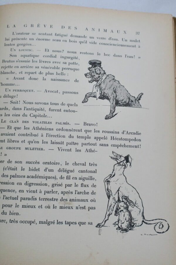 Grève des animaux illust-Vimar – Image 4