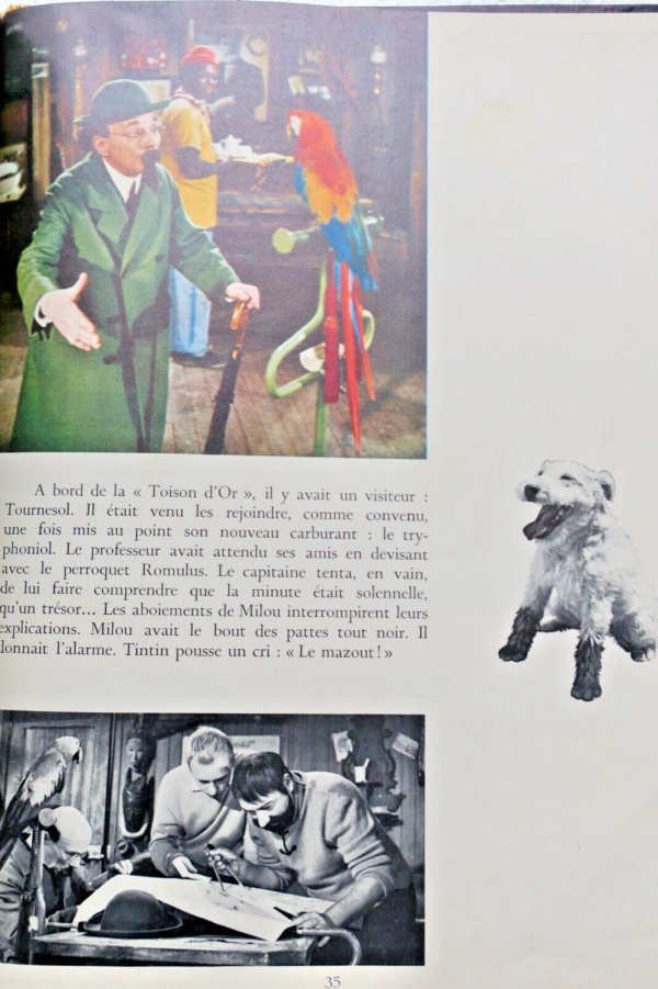 Hergé Tintin et le mystère de la Toison d'Or Casterman. 1962 – Image 7