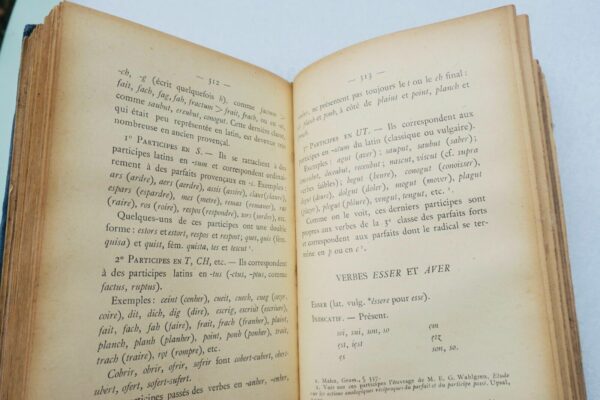 Provençal  GRAMMAIRE DE L'ANCIEN PROVENCAL OU ANCIENNE LANGUE D'OC 1921 – Image 5