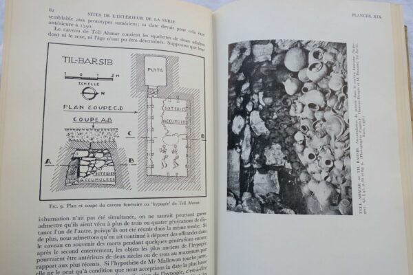 Stratigraphie comparée et chronologie de l'Asie occidentale 1948 – Image 8