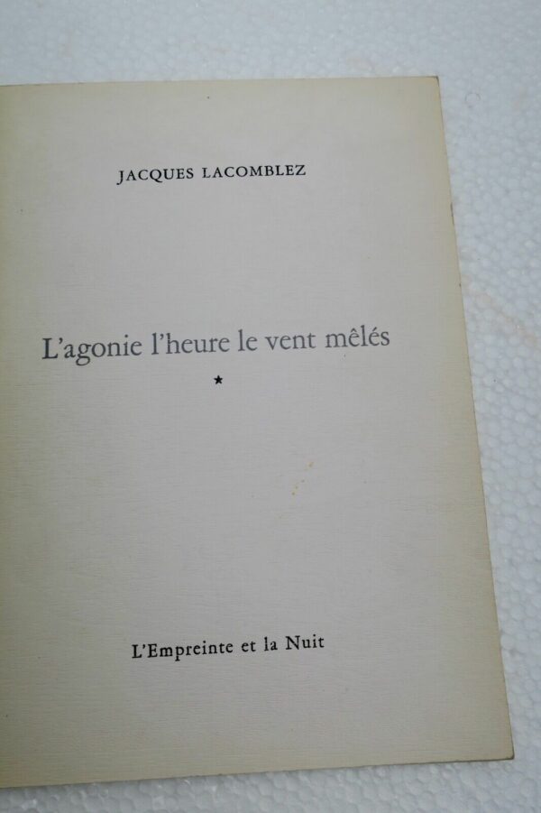 TARNAUD Claude - LACOMBLEZ Jacques La Forme réfléchie. Carnet de Voyage et ... – Image 16