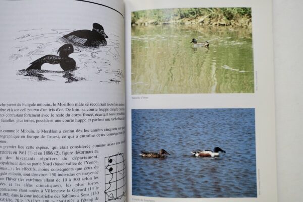 Atlas des oiseaux nicheurs de l'Yonne (1979-1992). – Image 4