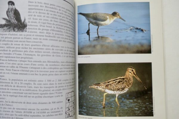 Atlas des oiseaux nicheurs de l'Yonne (1979-1992). – Image 5