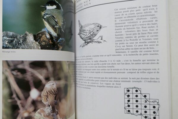 Atlas des oiseaux nicheurs de l'Yonne (1979-1992). – Image 7