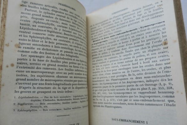 Botanique ELEMENTS DE BOTANIQUE 1891 – Image 7