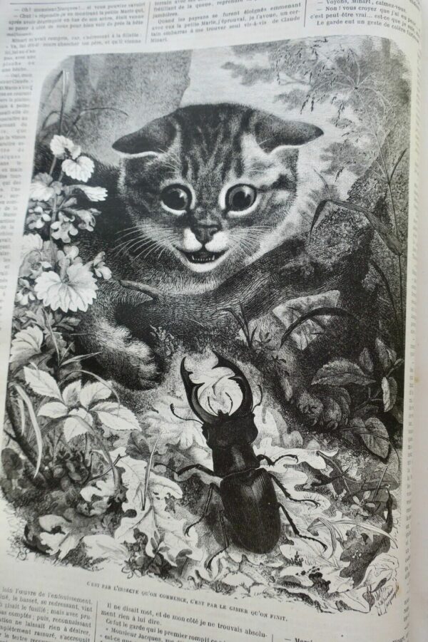 Chasse illustrée - Journal des chasseurs et de la vie à la campagne 1878