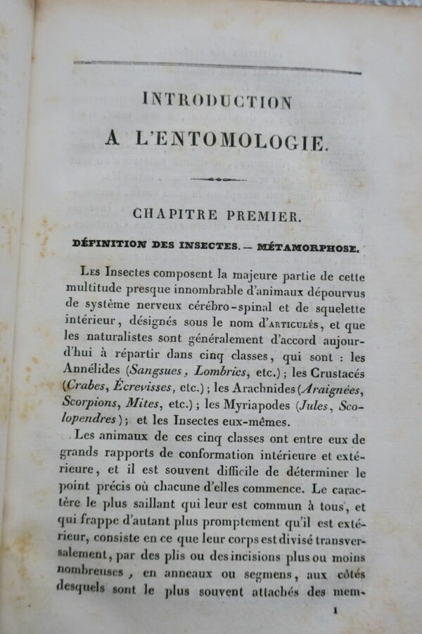 Entomologie LACORDAIRE Introduction à l'entomologie 1834 – Image 4