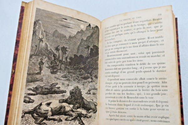 GERARD La Chasse au LION ill-Gustave Doré 1855 – Image 4