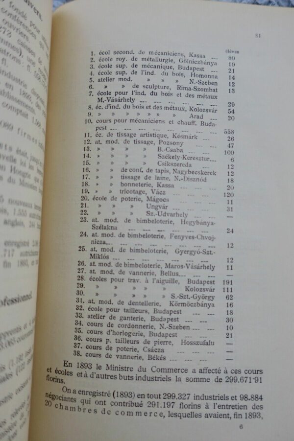 Hongrie à La Veille du Millénaire: Données Statistiques avec deux Plans 1896 – Image 4