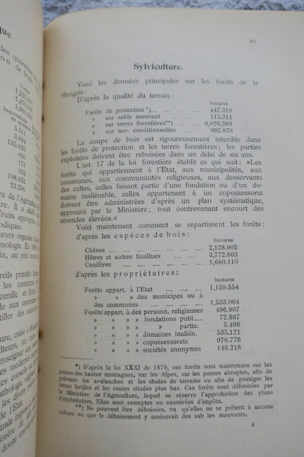 Hongrie à La Veille du Millénaire: Données Statistiques avec deux Plans 1896 – Image 5