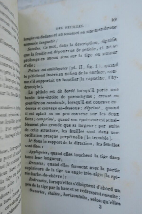 Leçons de botanique à l'usage des jeunes gens des deux sexes 1840 – Image 10