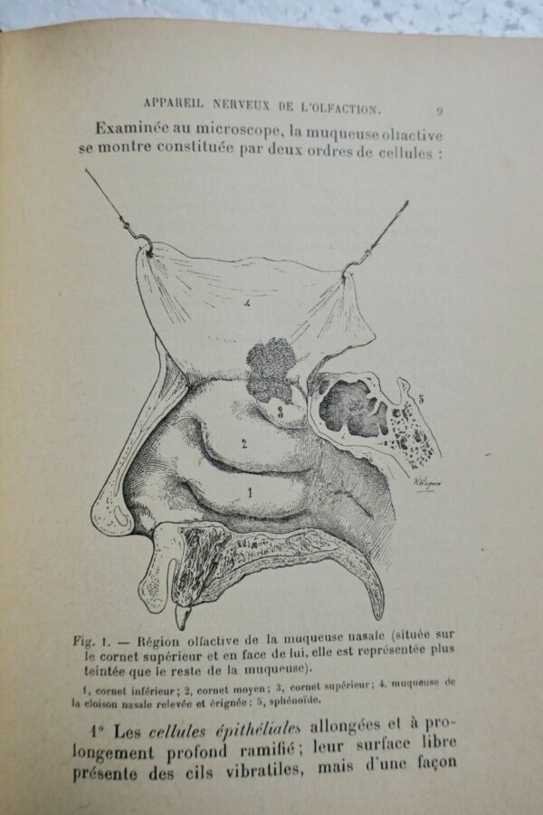 ODORAT ET SES TROUBLES 1904 – Image 7