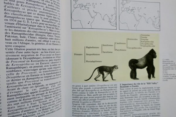 PREHISTORIQUE  LE TEMPS DE LA PREHISTOIRE – Image 8