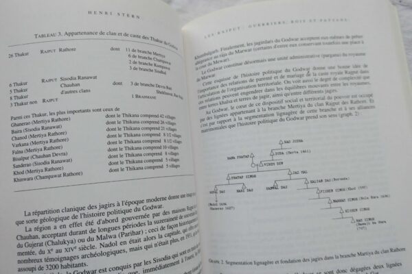 INDE De la Royauté à l'Etat - Anthropo.. et histoire du politique.. monde indien – Image 7