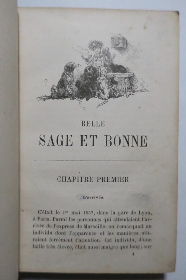 Rostoptchine Belle sage et bonne 1880 vignettes par Ferdinandus – Image 7