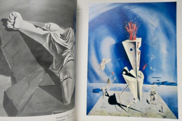 Salvador Dalí catalog of a collection; ninety-three oils, 1917-1970 – Image 5