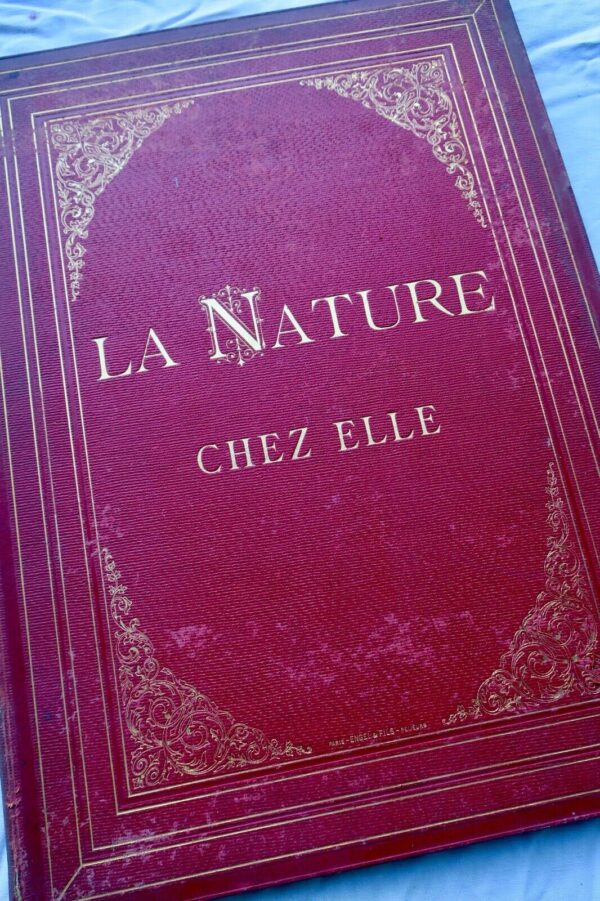 Théophile Gautier eaux-fortes de K. Bodmer La nature chez elle 1870 – Image 3