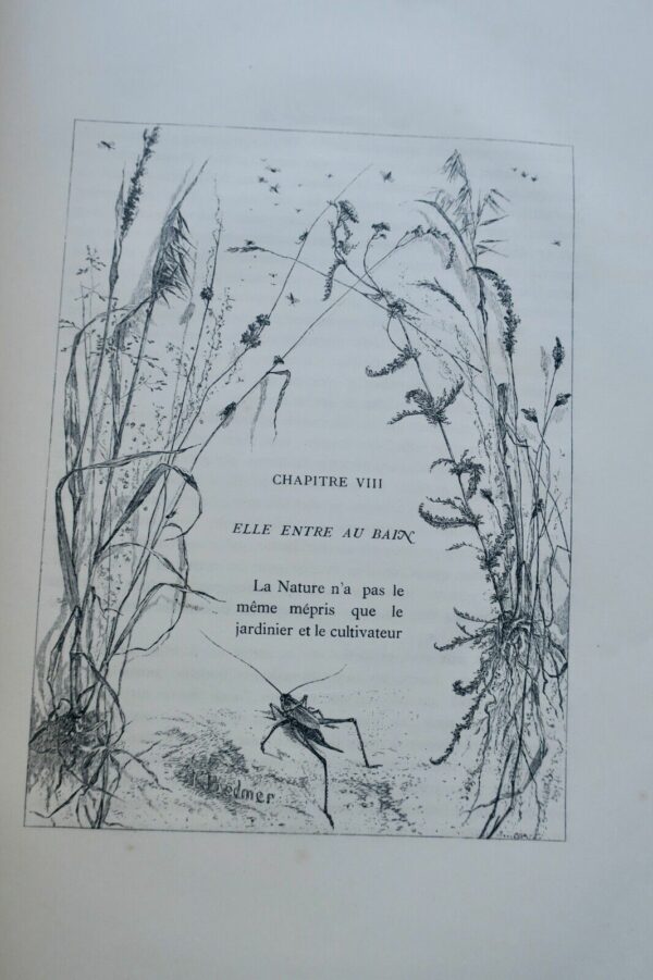 Théophile Gautier eaux-fortes de K. Bodmer La nature chez elle 1870 – Image 7