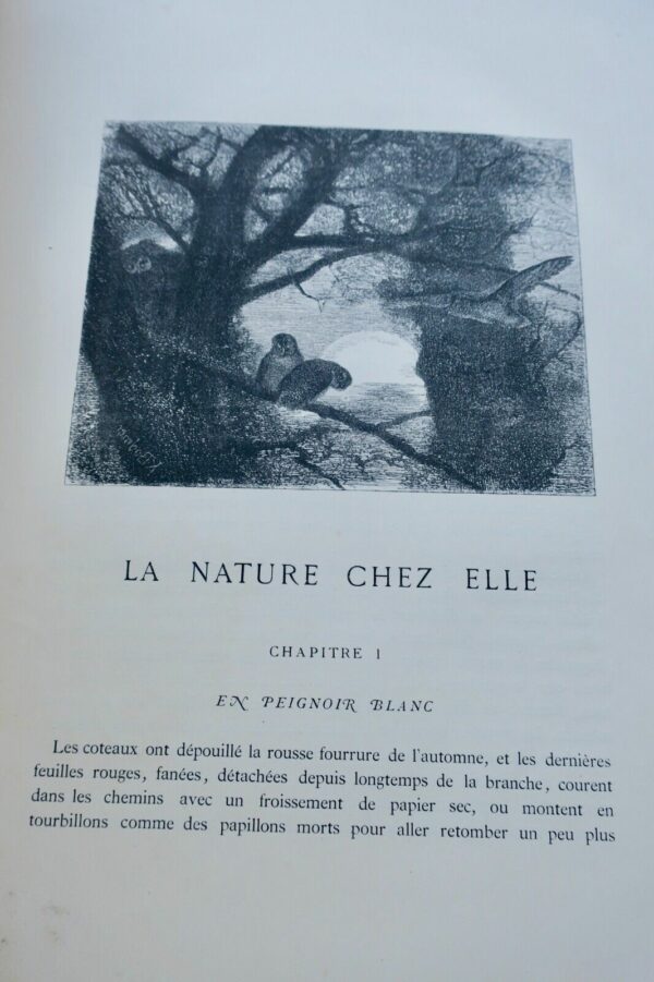 Théophile Gautier eaux-fortes de K. Bodmer La nature chez elle 1870