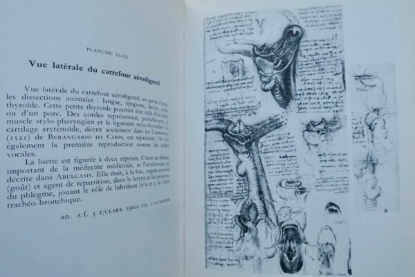 VINCI (Leonard de) dessins anatomiques – Image 4